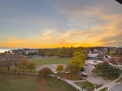View 39