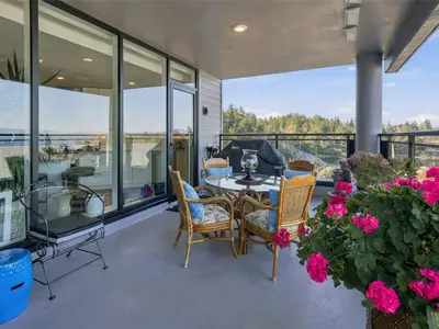 View 44