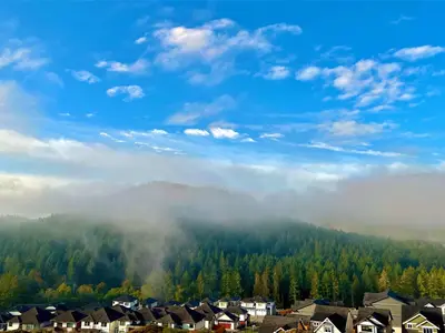 View 19