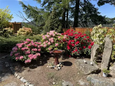 View 33