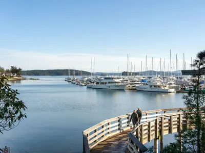 View 29