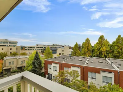 View 25