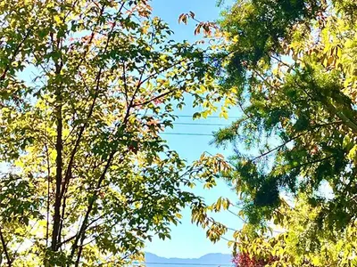View 17