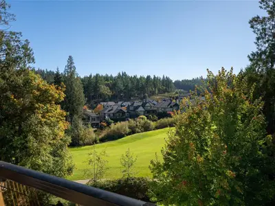 View 23