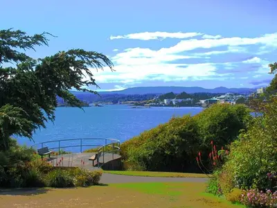 View 39