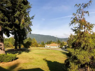 View 37