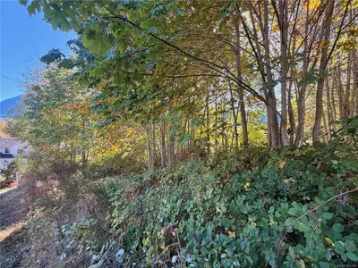 View 11