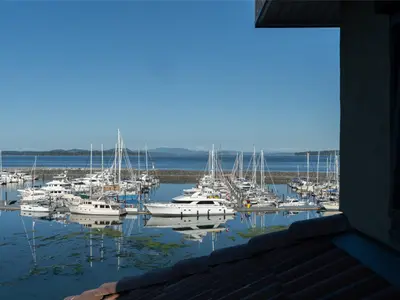 View 22