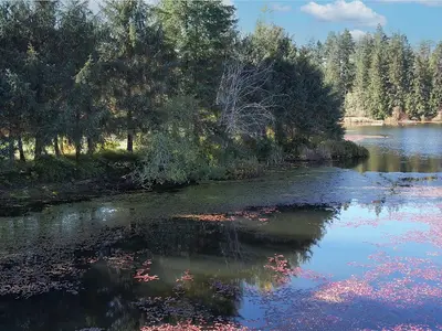View 36