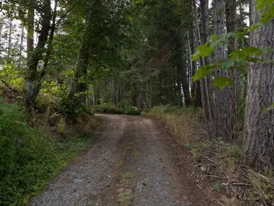 View 28
