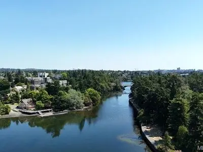 View 42