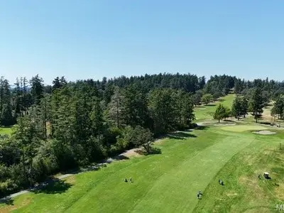 View 55