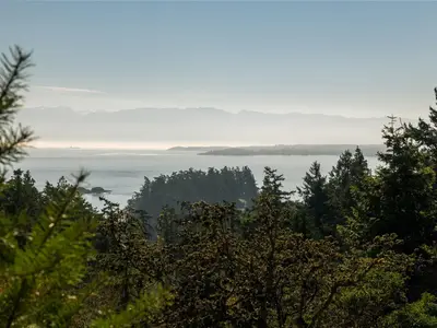 View 10