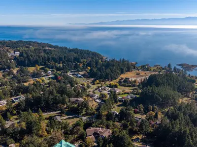 View 59