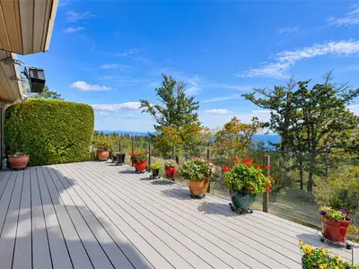 View 34