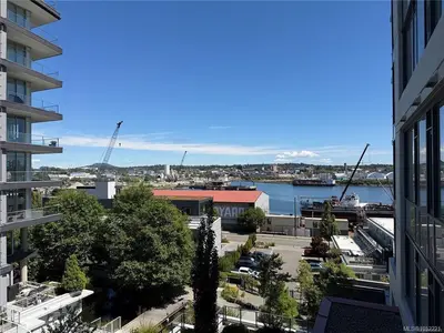 View 6