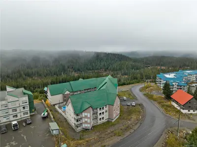 View 50