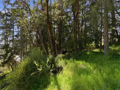 View 34
