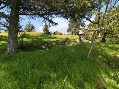 View 35