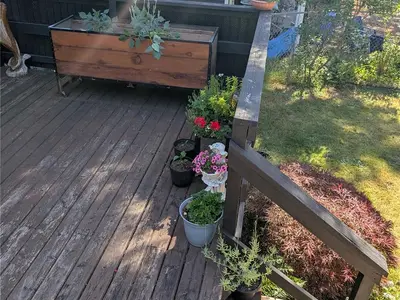 View 46