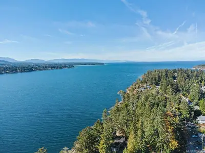 View 50