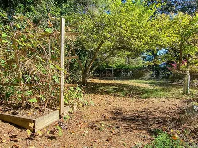 View 39