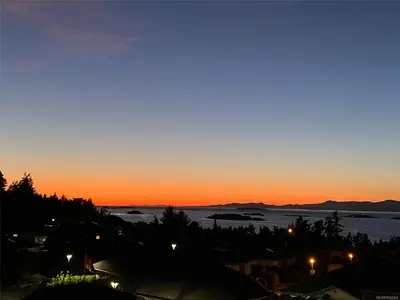 View 50