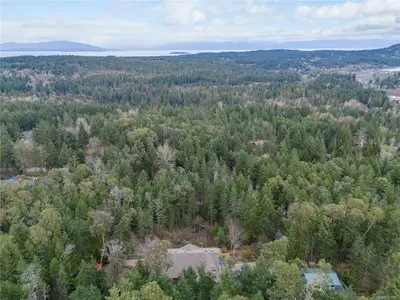 View 55