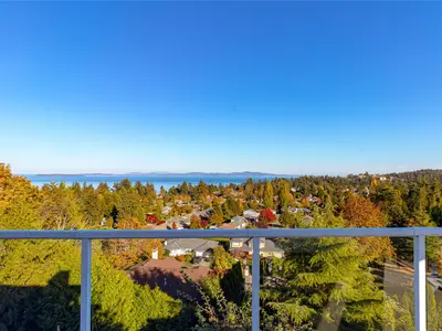 View 53