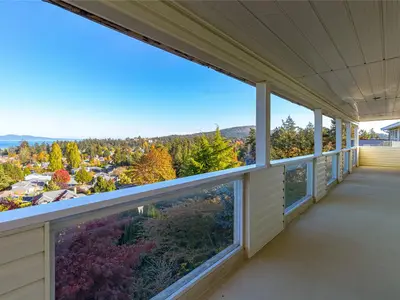 View 54