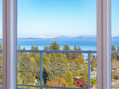 View 8