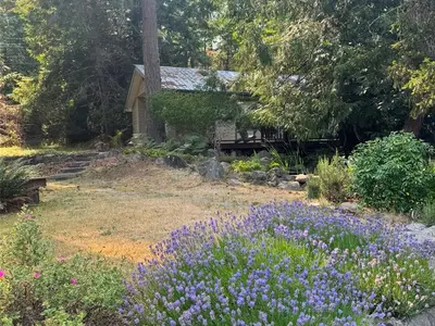 View 70
