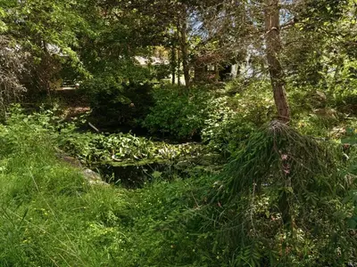 View 75