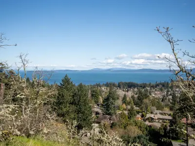 View 46