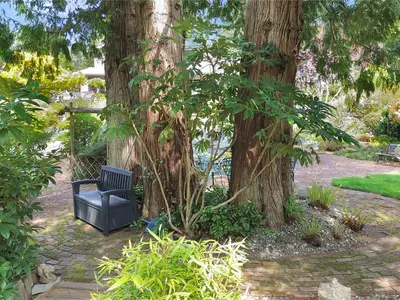 View 36