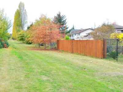 View 37
