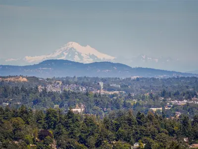 View 31