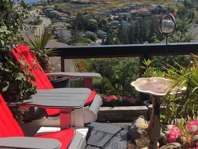 View 54