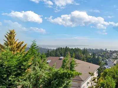 View 40