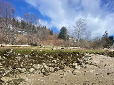 View 38