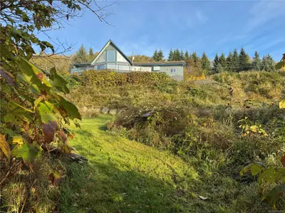 View 41