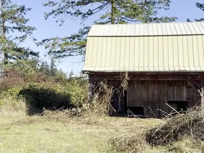 View 29