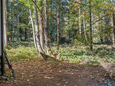 View 38