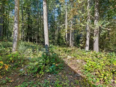 View 39