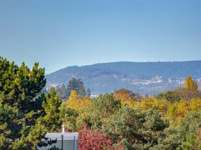 View 23