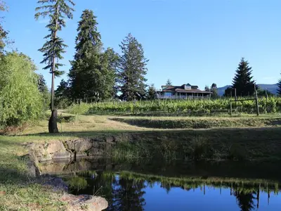 View 2