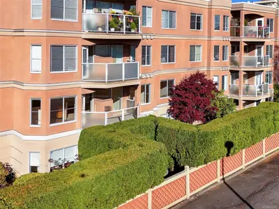 View 25