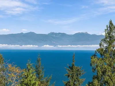 View 52