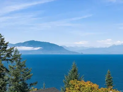 View 51