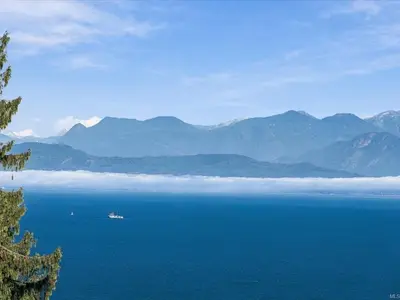 View 54